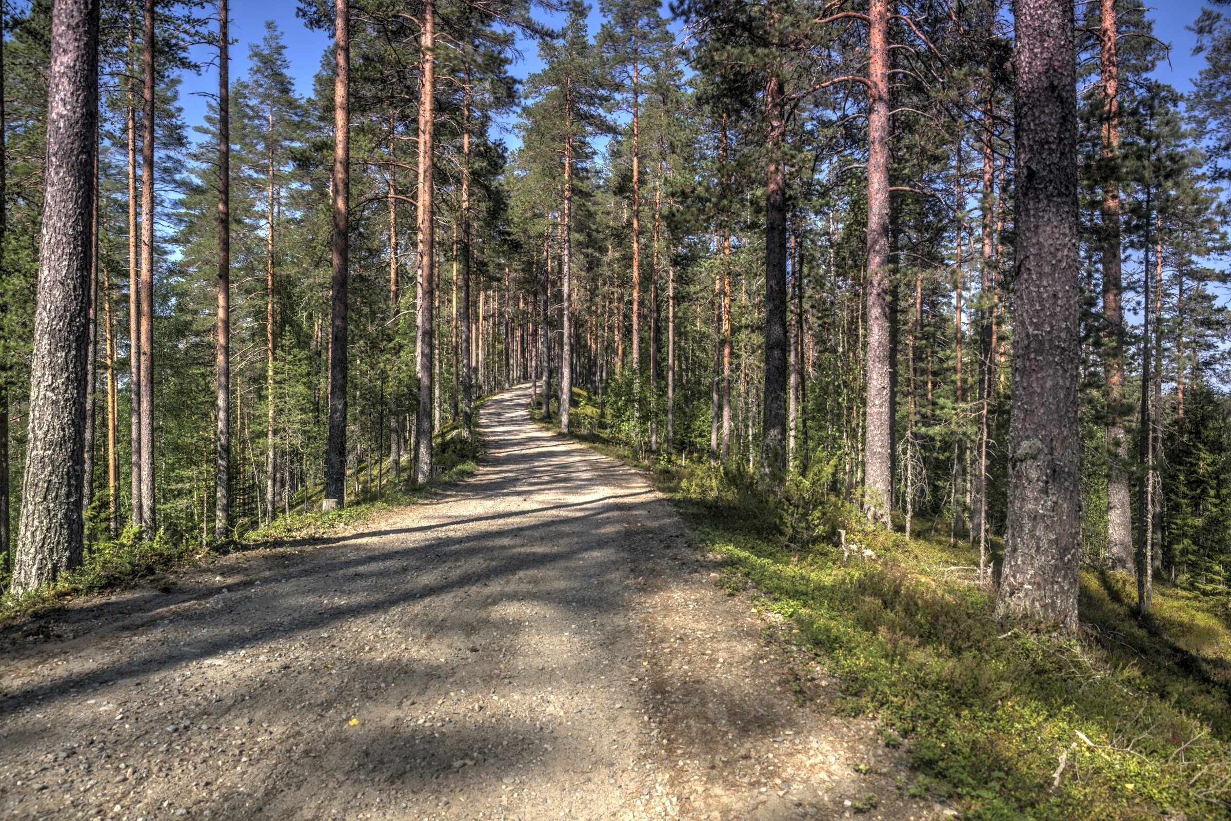 Hällämönharju Esker